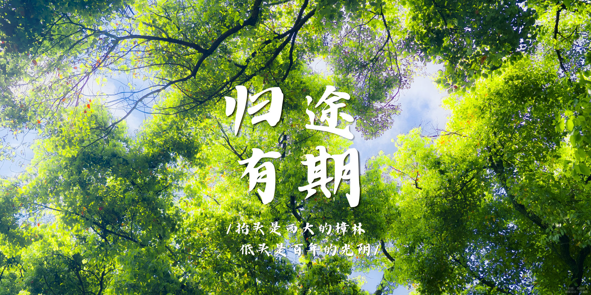 必赢776net